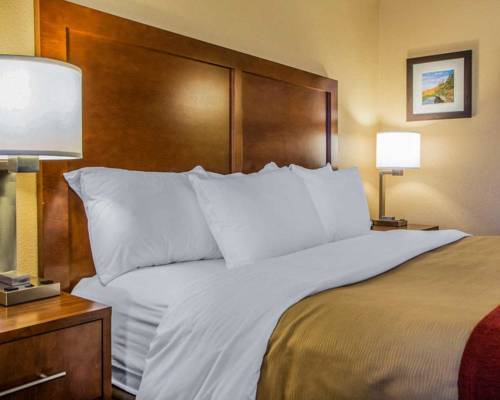Imagen de la habitación del Hotel Comfort Inn Joliet West I-80. Foto 6