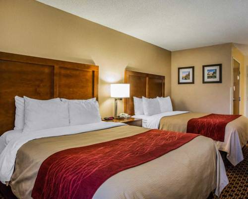 Imagen de la habitación del Hotel Comfort Inn Joliet West I-80. Foto 10