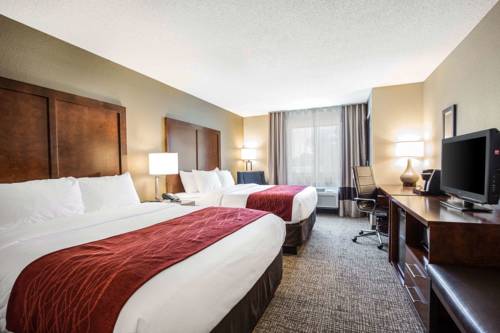 Imagen de la habitación del Hotel Comfort Inn La Porte. Foto 1