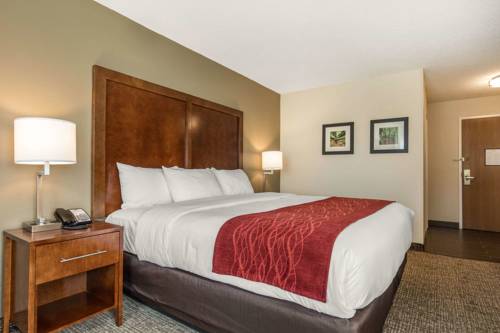 Imagen de la habitación del Hotel Comfort Inn La Porte. Foto 4