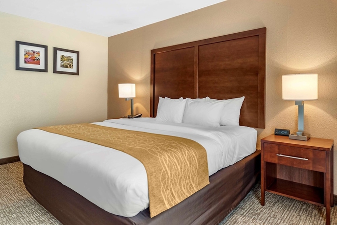 Imagen de la habitación del Hotel Comfort Inn Lafayette. Foto 12