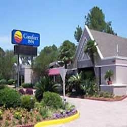 Imagen general del Hotel Comfort Inn Lafayette. Foto 1