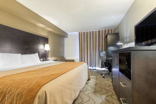 Imagen de la habitación del Hotel Comfort Inn Lakeshore. Foto 4