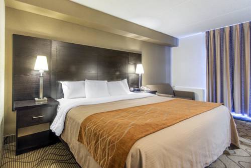 Imagen de la habitación del Hotel Comfort Inn Lakeshore. Foto 5