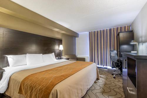 Imagen de la habitación del Hotel Comfort Inn Lakeshore. Foto 6