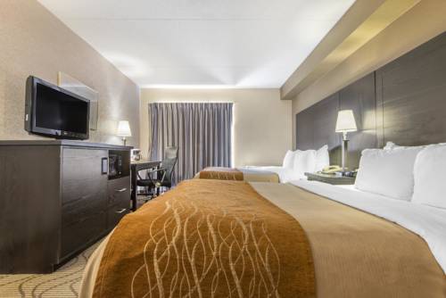 Imagen de la habitación del Hotel Comfort Inn Lakeshore. Foto 9