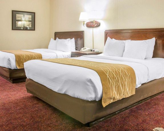 Imagen de la habitación del Hotel Comfort Inn Lakeside. Foto 2
