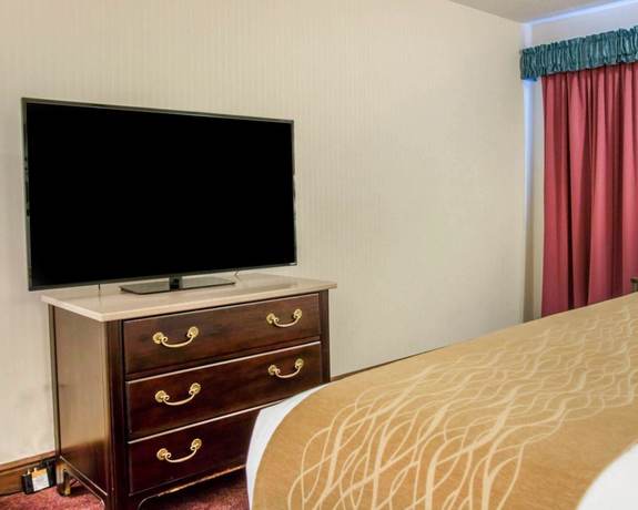 Imagen de la habitación del Hotel Comfort Inn Lakeside. Foto 8
