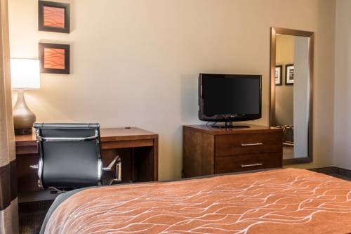 Imagen de la habitación del Hotel Comfort Inn Lancaster County. Foto 3