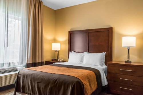 Imagen de la habitación del Hotel Comfort Inn Lancaster County. Foto 5