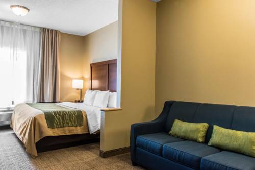 Imagen de la habitación del Hotel Comfort Inn Lancaster County. Foto 11