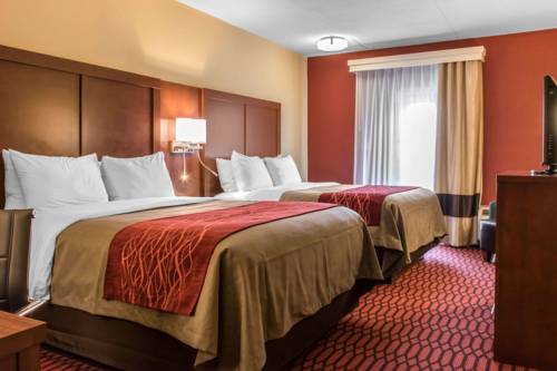 Imagen de la habitación del Hotel Comfort Inn Lancaster - Rockvale Outlets Lancaster. Foto 2