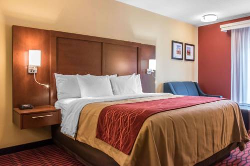 Imagen de la habitación del Hotel Comfort Inn Lancaster - Rockvale Outlets Lancaster. Foto 4