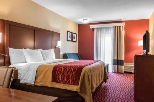 Imagen de la habitación del Hotel Comfort Inn Lancaster - Rockvale Outlets Lancaster. Foto 6