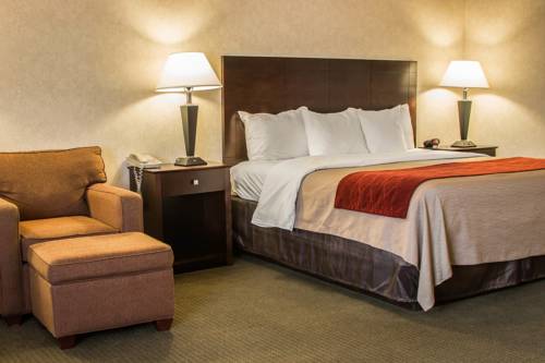 Imagen de la habitación del Hotel Comfort Inn Lansing. Foto 4