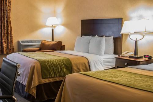 Imagen de la habitación del Hotel Comfort Inn Lansing. Foto 5