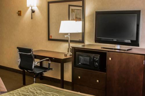 Imagen de la habitación del Hotel Comfort Inn Lansing. Foto 6