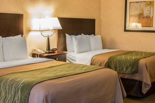 Imagen de la habitación del Hotel Comfort Inn Lansing. Foto 8