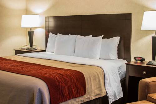 Imagen de la habitación del Hotel Comfort Inn Lansing. Foto 11