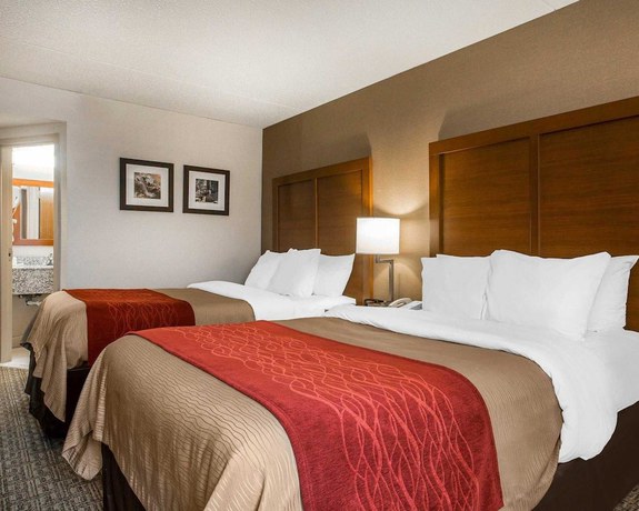 Imagen de la habitación del Hotel Comfort Inn Latham - Albany North. Foto 7