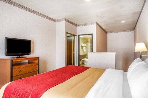 Imagen de la habitación del Hotel Comfort Inn Lathrop - Stockton Airport. Foto 4