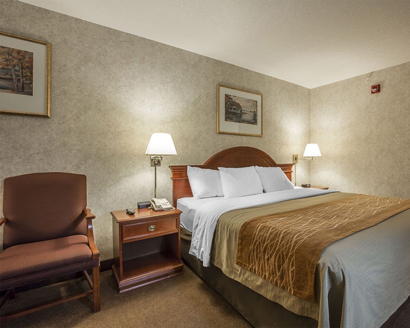 Imagen de la habitación del Hotel Comfort Inn Lethbridge. Foto 6