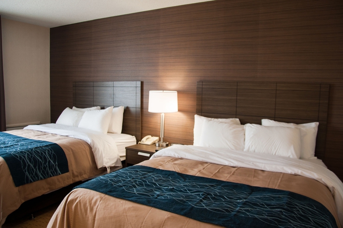 Imagen de la habitación del Hotel Comfort Inn Levis. Foto 9
