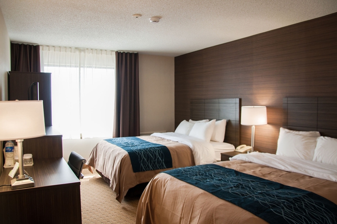 Imagen de la habitación del Hotel Comfort Inn Levis. Foto 15