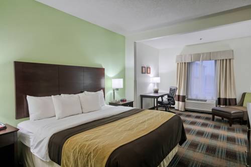 Imagen de la habitación del Hotel Comfort Inn Lexington South. Foto 3