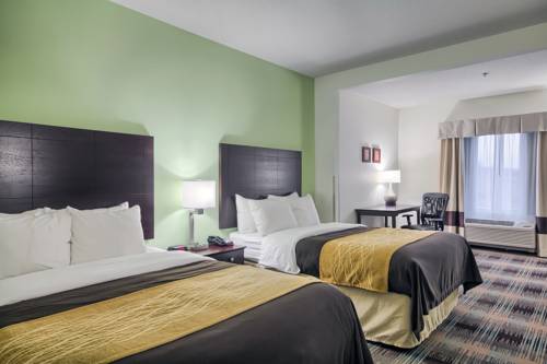 Imagen de la habitación del Hotel Comfort Inn Lexington South. Foto 4
