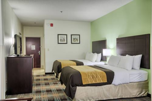 Imagen general del Hotel Comfort Inn Lexington South. Foto 1