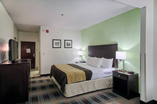 Imagen de la habitación del Hotel Comfort Inn Lexington South. Foto 8