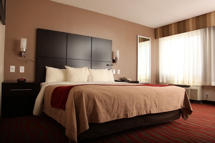 Imagen de la habitación del Hotel Comfort Inn Los Angeles Near Hollywood. Foto 12