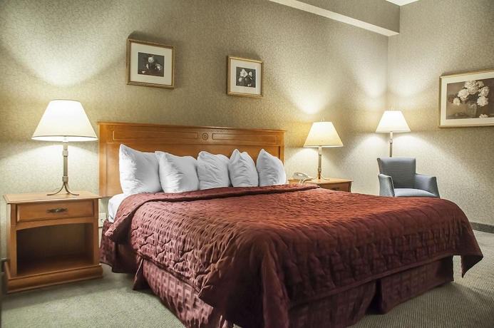 Imagen de la habitación del Hotel Comfort Inn Lundys Lane. Foto 4