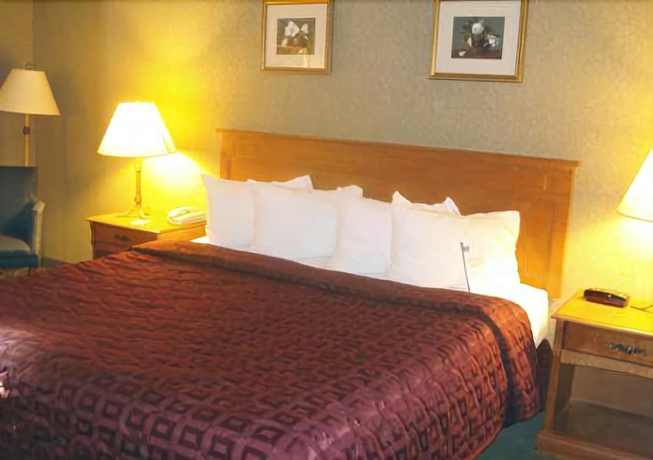 Imagen de la habitación del Hotel Comfort Inn Lundys Lane. Foto 6