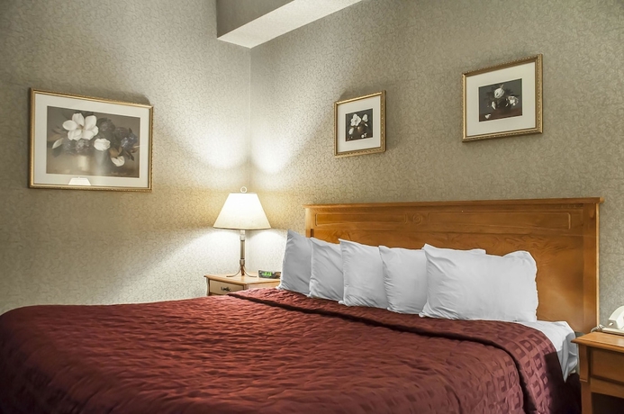 Imagen de la habitación del Hotel Comfort Inn Lundys Lane. Foto 7