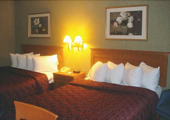 Imagen de la habitación del Hotel Comfort Inn Lundys Lane. Foto 8