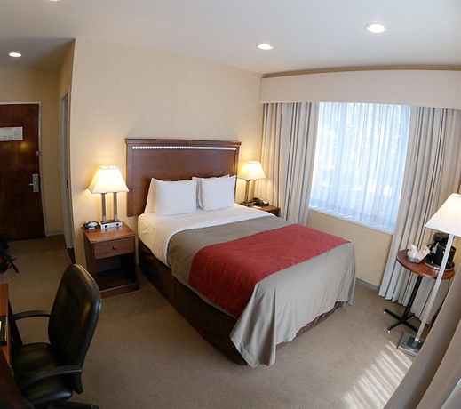 Imagen de la habitación del Hotel Comfort Inn Manhattan Bridge. Foto 3