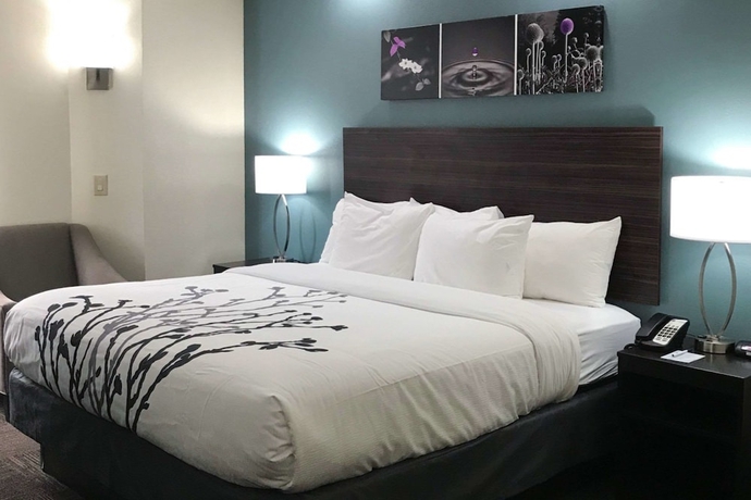 Imagen de la habitación del Hotel Comfort Inn Marietta-Atlanta near Ballpark-Galleria. Foto 2