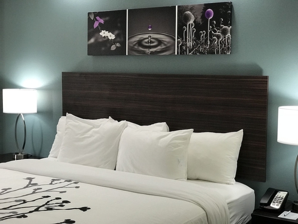 Imagen de la habitación del Hotel Comfort Inn Marietta-Atlanta near Ballpark-Galleria. Foto 9