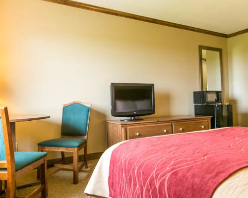 Imagen de la habitación del Hotel Comfort Inn Marshall Station. Foto 9