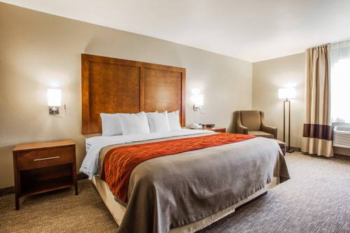 Imagen de la habitación del Hotel Comfort Inn Marshalltown South. Foto 3