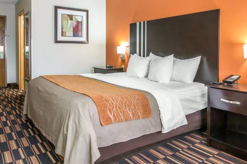 Imagen de la habitación del Hotel Comfort Inn Maumee - Perrysburg Area. Foto 3