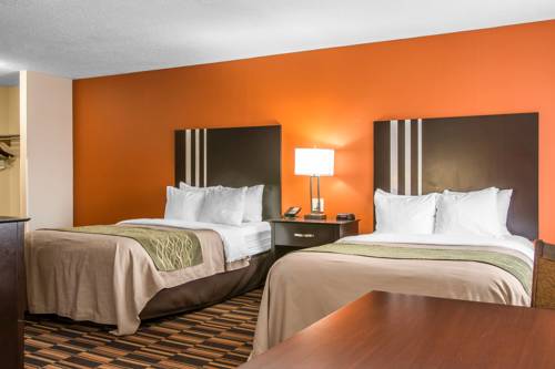 Imagen de la habitación del Hotel Comfort Inn Maumee - Perrysburg Area. Foto 5
