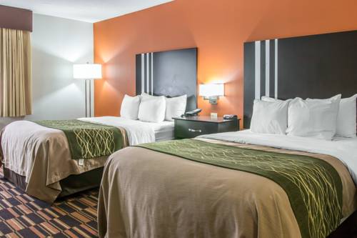 Imagen de la habitación del Hotel Comfort Inn Maumee - Perrysburg Area. Foto 7