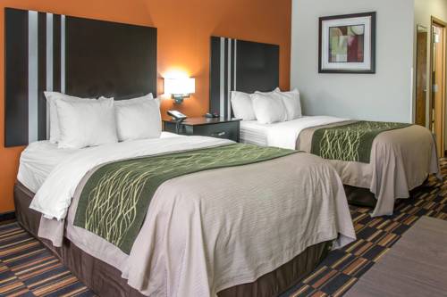 Imagen de la habitación del Hotel Comfort Inn Maumee - Perrysburg Area. Foto 8