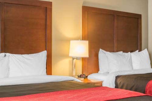 Imagen de la habitación del Hotel Comfort Inn Mayfield Heights Cleveland East. Foto 7