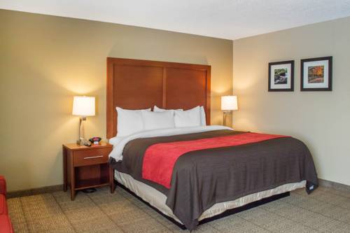 Imagen de la habitación del Hotel Comfort Inn Mayfield Heights Cleveland East. Foto 9