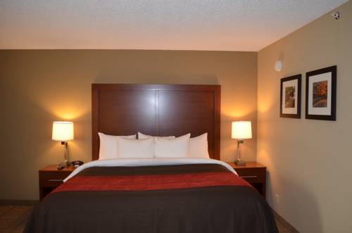 Imagen de la habitación del Hotel Comfort Inn Mayfield Heights Cleveland East. Foto 10