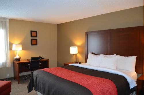 Imagen de la habitación del Hotel Comfort Inn Mayfield Heights Cleveland East. Foto 16